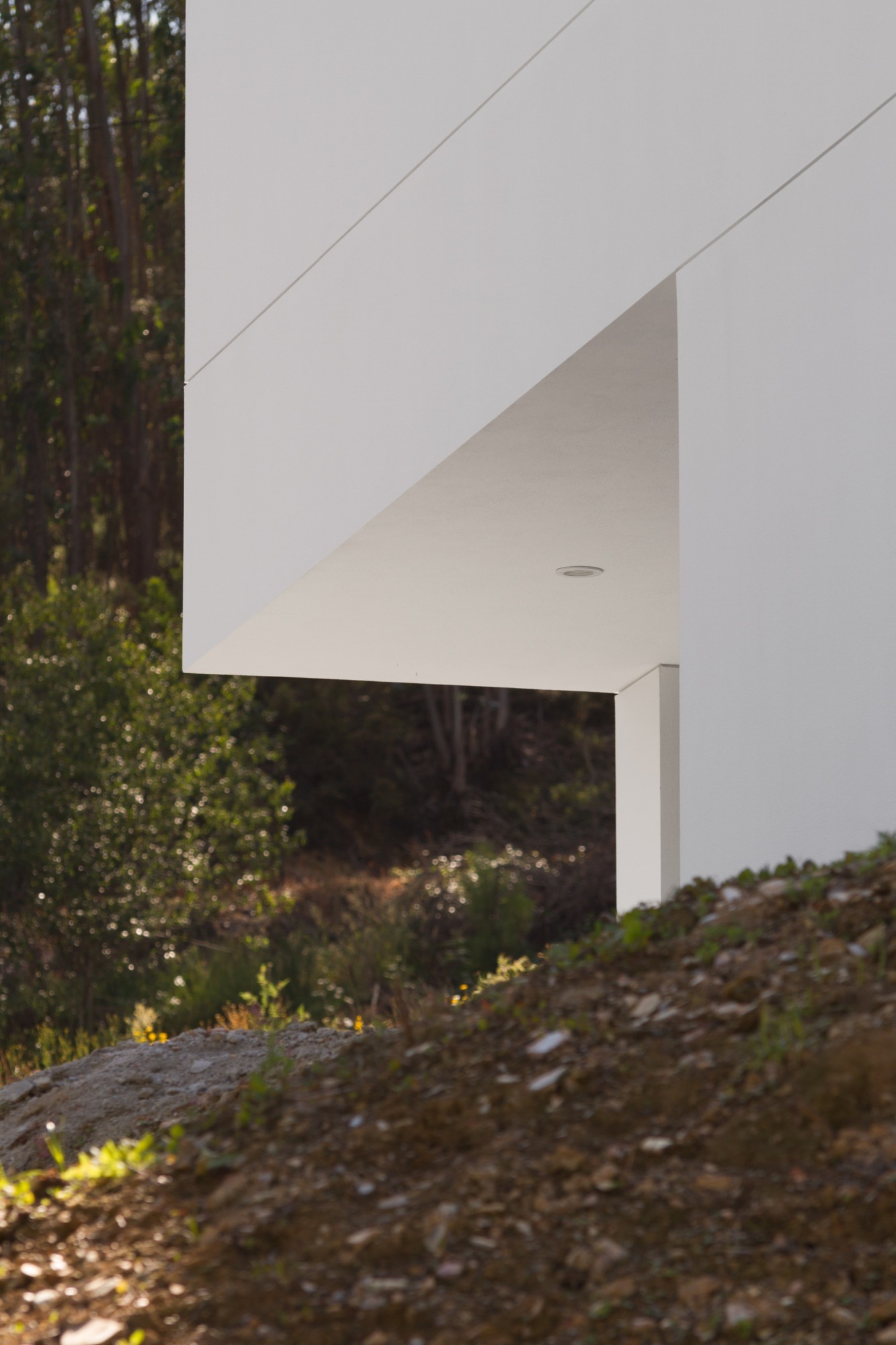 葡萄牙 Agueda 住宅——地形与空间的完美融合-20