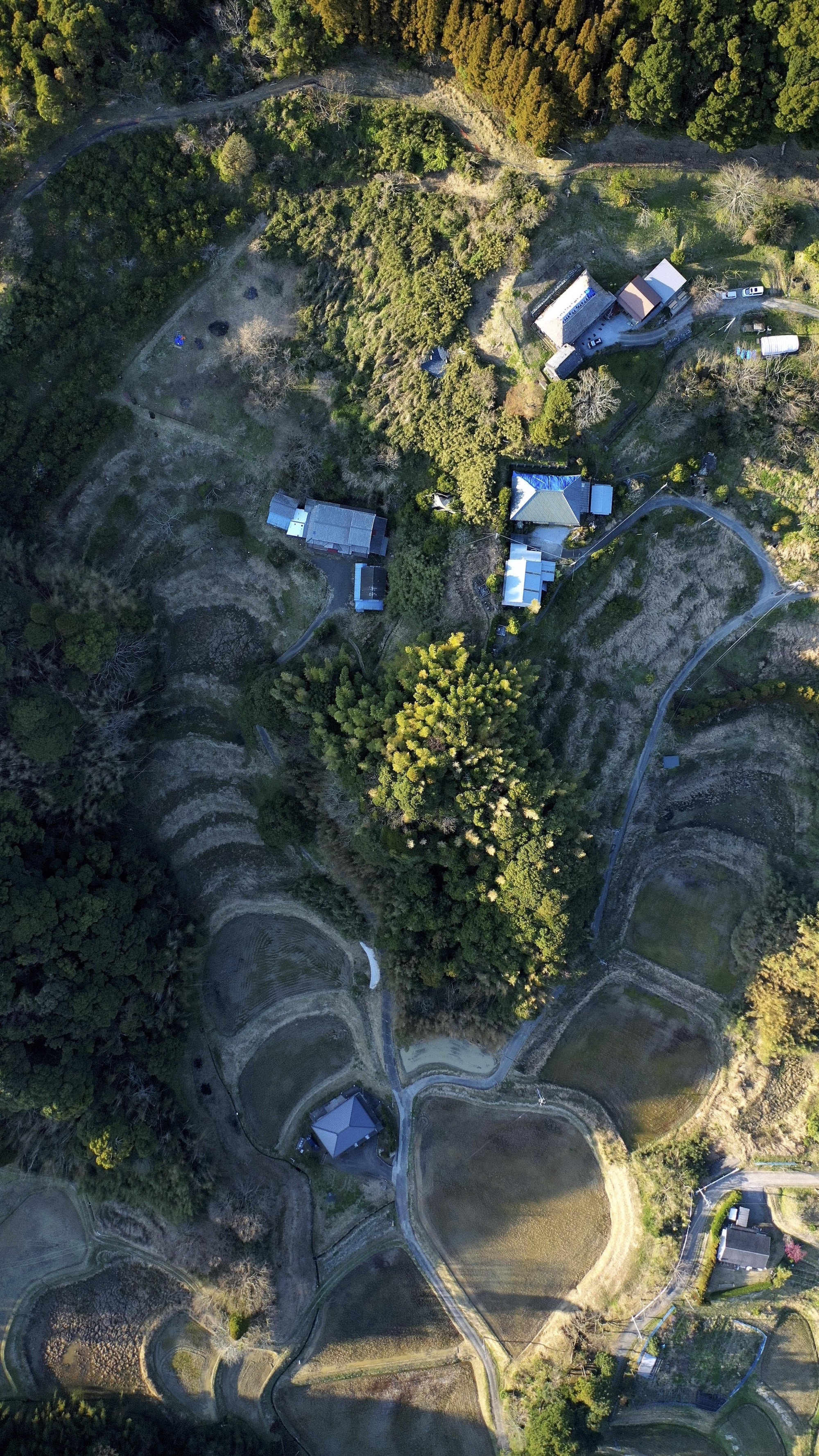 小房子特基特基安丨日本丨6lines studio-37