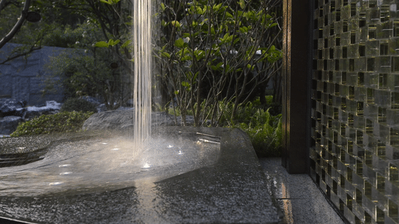 在追与塑之间丨碧桂园 · 柏丽湾二期-51