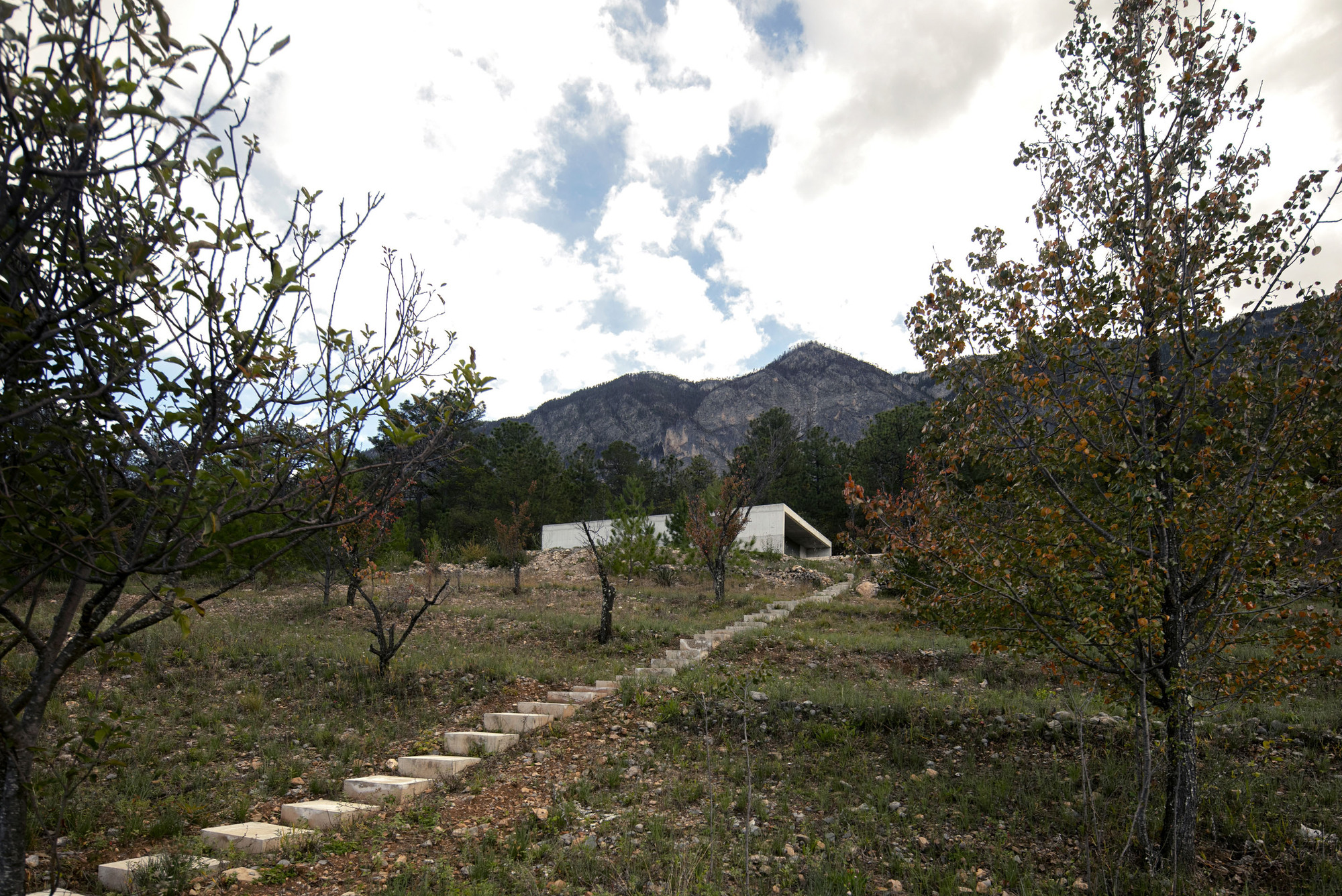 米拉多尔宅邸丨墨西哥丨SAR-31