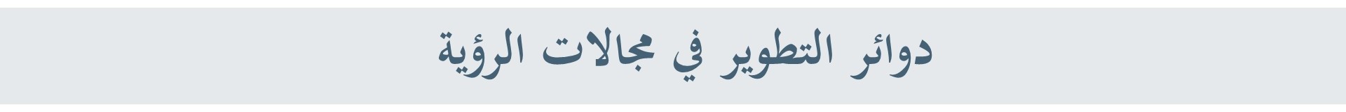 开罗市战略规划及现状研究项目丨埃及开罗丨亚历山大大学美术学院建筑系-56