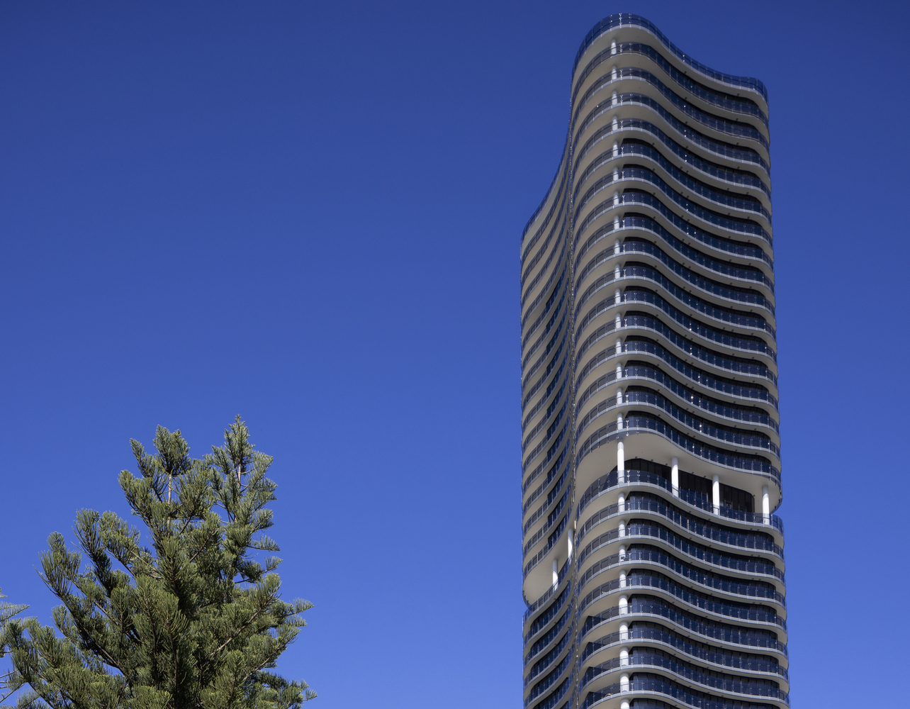 澳大利亚海滨有机住宅丨Contreras Earl Architecture-13