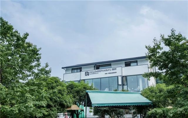 康盛装饰打造 600㎡自然森系空间-30