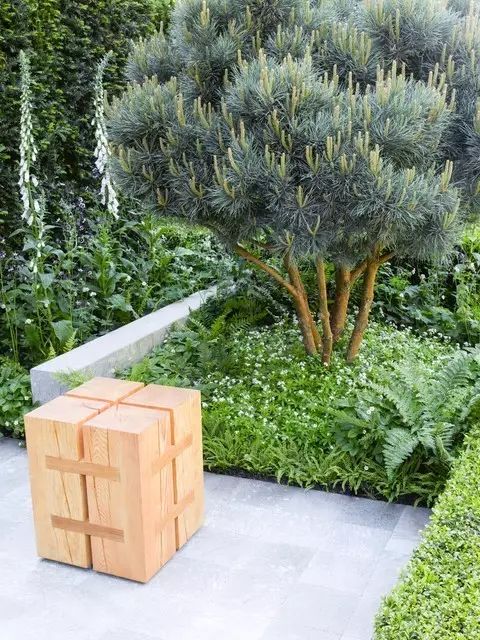 简约庭院 | 高冷与亲近的完美结合-43