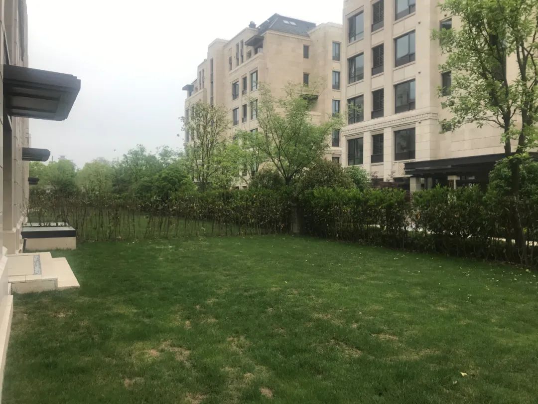 上海现代花园生活 | 悦享其境-39