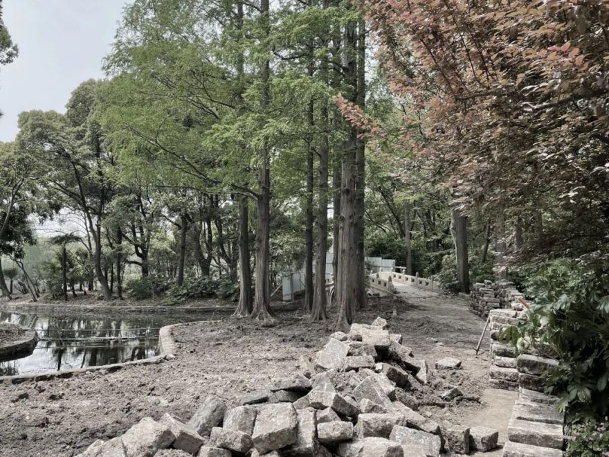 中国园林·理事专栏|“拓”之力量:杨浦公园改造纪实(三)-267