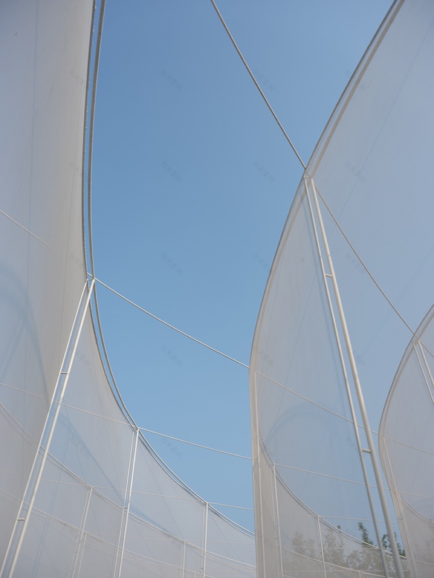 2024成都世园会未来园艺展区“空心竹灯”装置丨中国成都丨TLS景观设计事务所-54