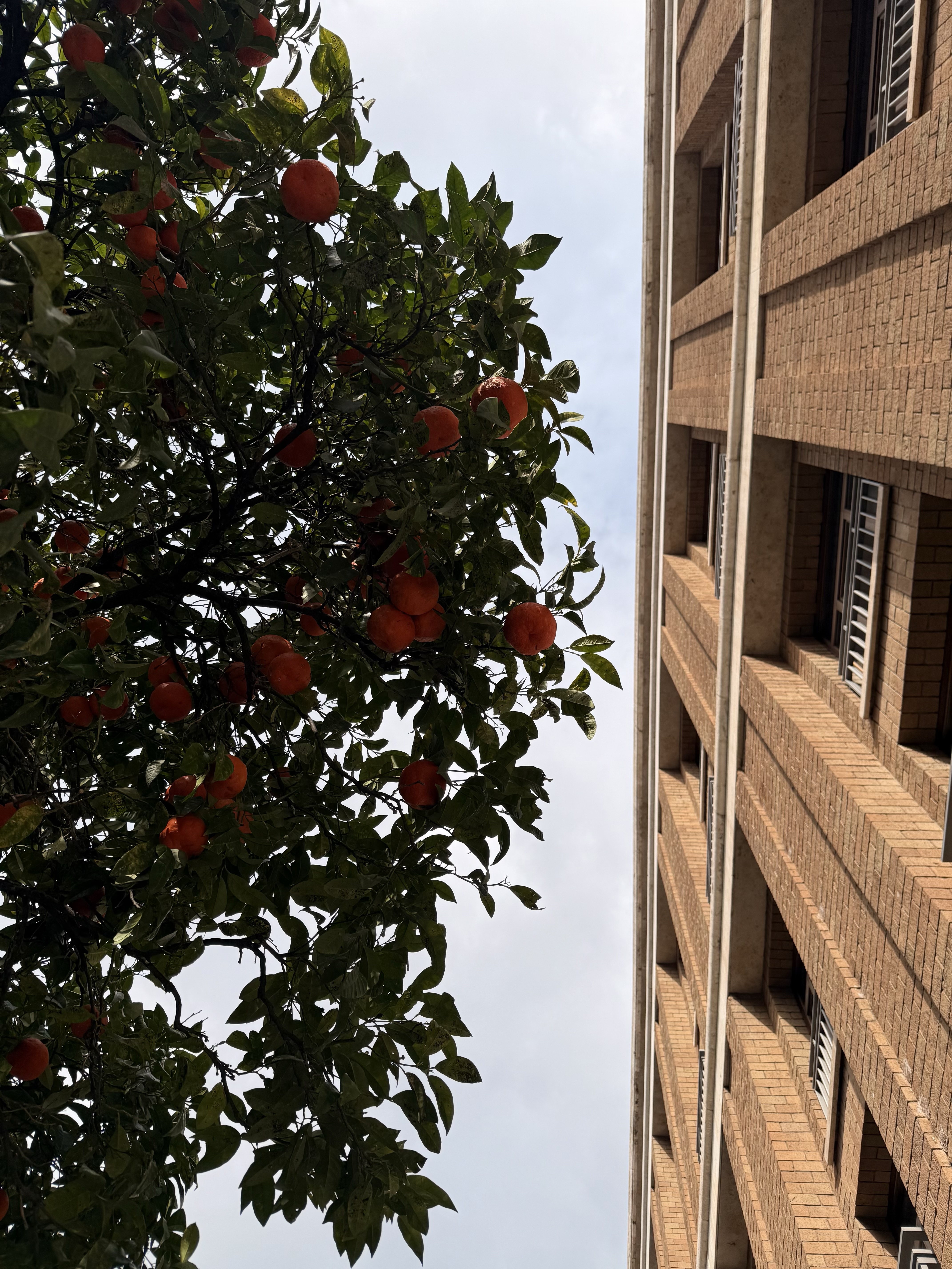 Roma, Itália-0