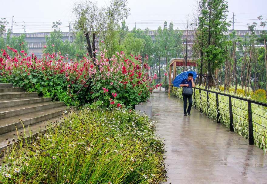 嘉定石冈门塘湿地公园-24