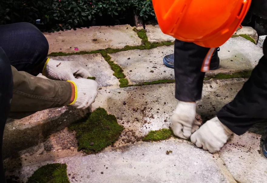 草月流世博馆庭院搭建记 | 全情投入展新貌-14