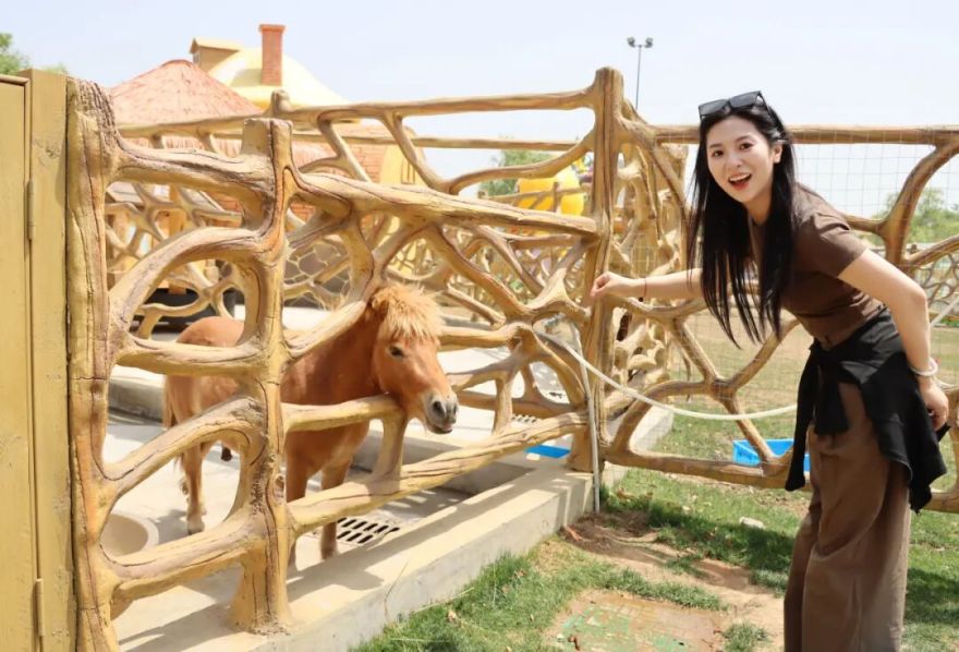 iMBox落地项目|田园牧歌,与鹭同栖,iMBox在风景美丽的扬州,助力打造了一个亲子度假胜地-55