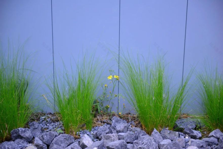 打造独特私家花园,体验简约宁静之美-66