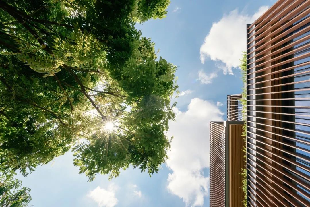 泰国 Stu/D/O 建筑事务所 | 融入本土文化的现代设计-21