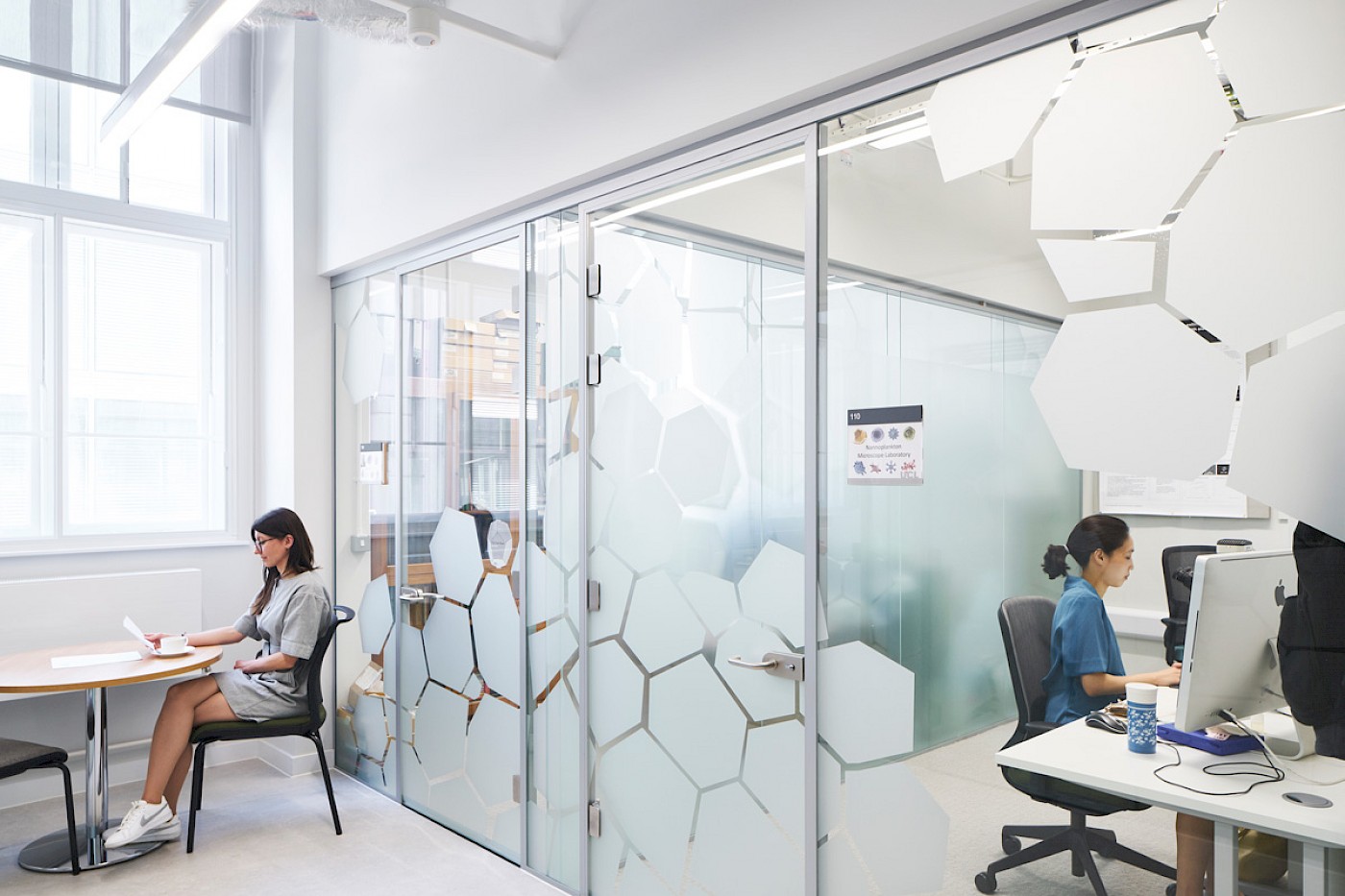 丨Levitt Bernstein-43