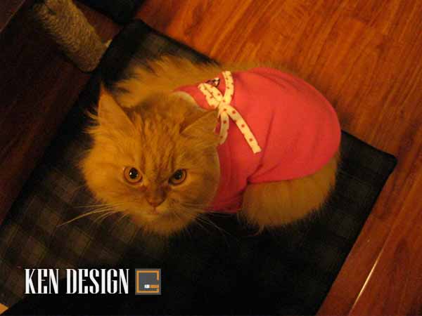 Totoro coffee  宠物咖啡馆丨Kendesign-15