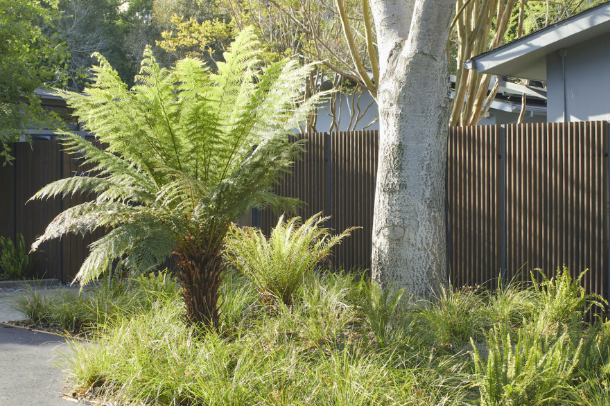 美国微风日式景观住宅丨Spiegel Aihara Workshop (SAW)-12