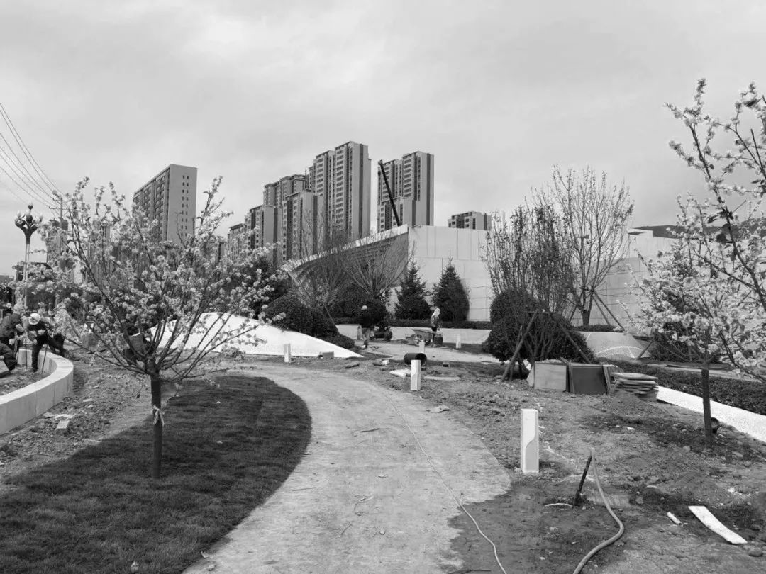 留云栖凤 ｜ 西宁 · 中梁鎏金云玺-85