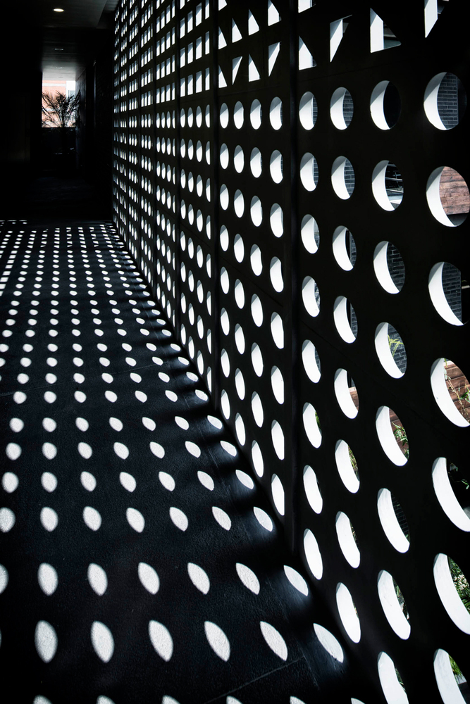 Barrank Building 墨西哥城南部公寓设计-68