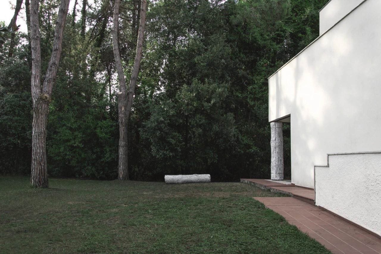 亭子丨澳大利亚丨Wolveridge Architects-59