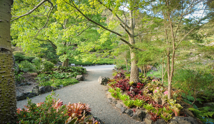 丨无相关信息-6