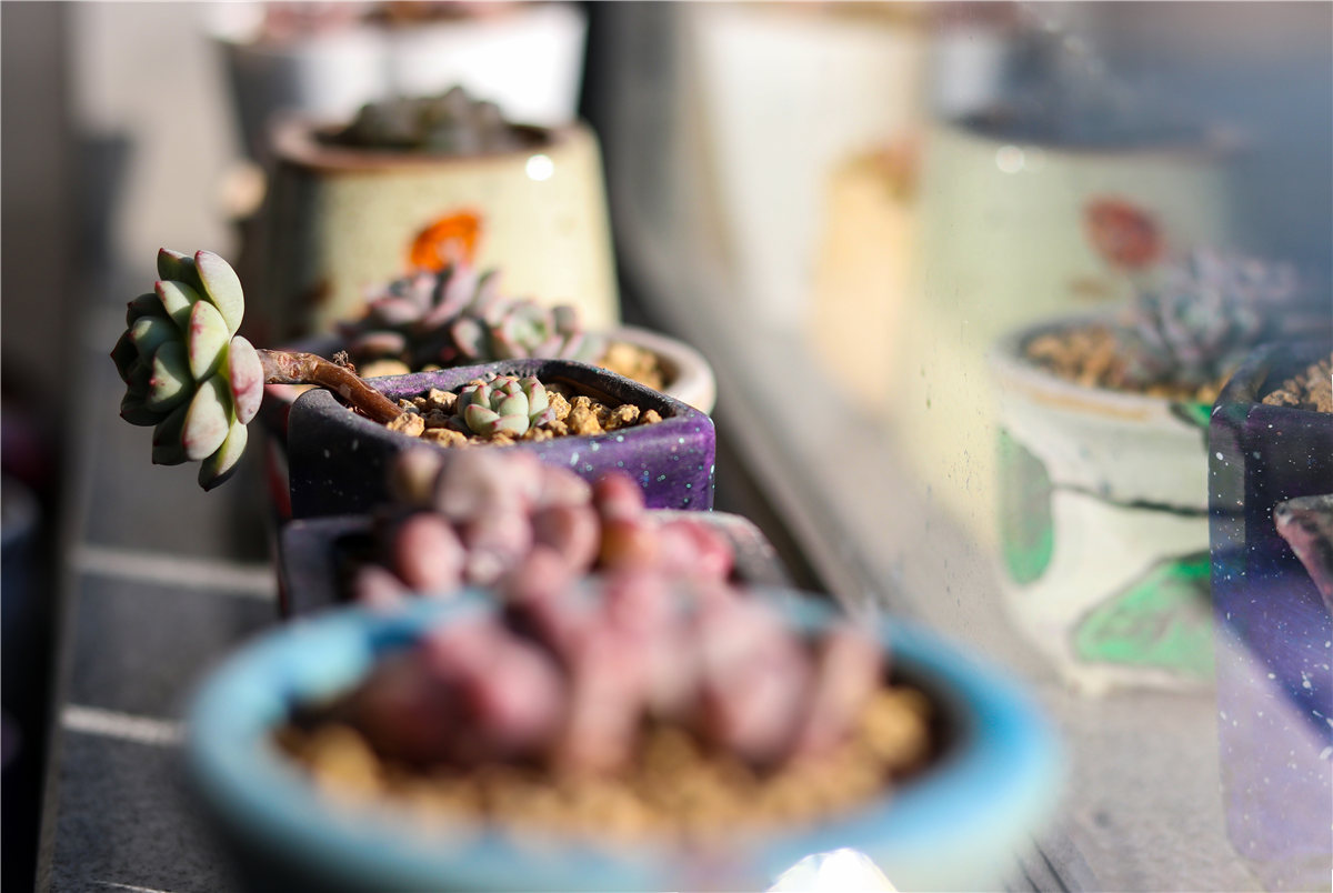 绍兴现代北欧风 | 温暖简约的浪漫生活-30