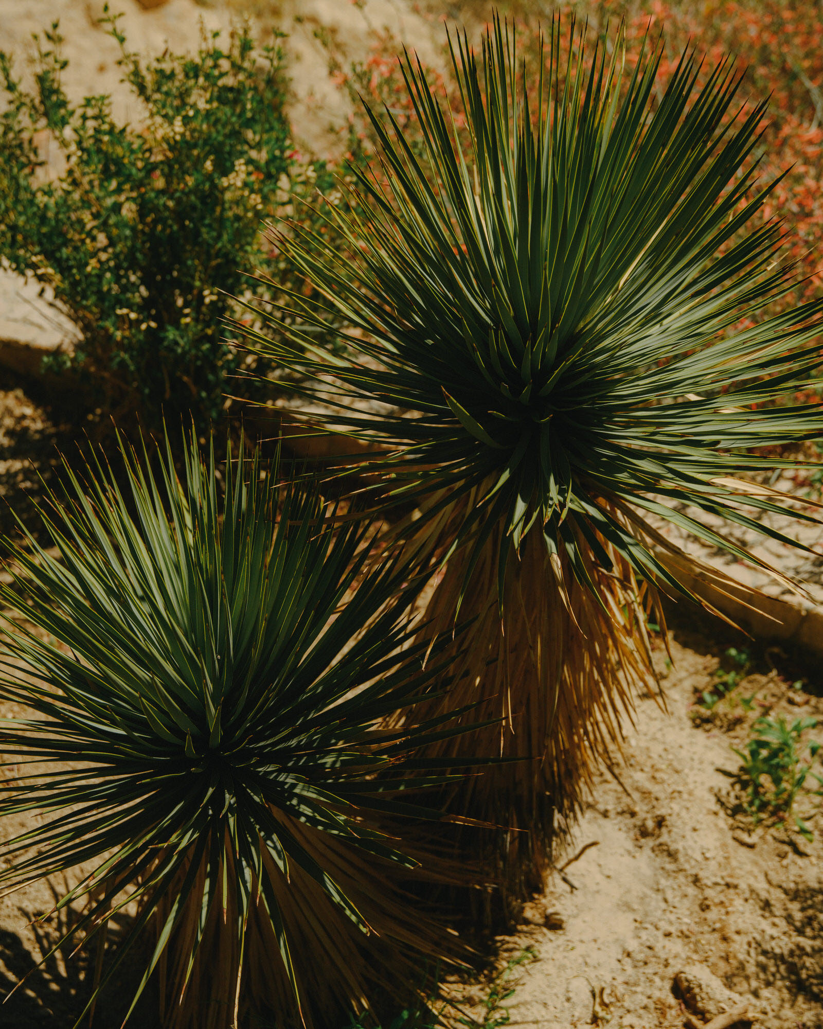 凯洛格·杜利特尔住宅丨Boffi | De Padova-14