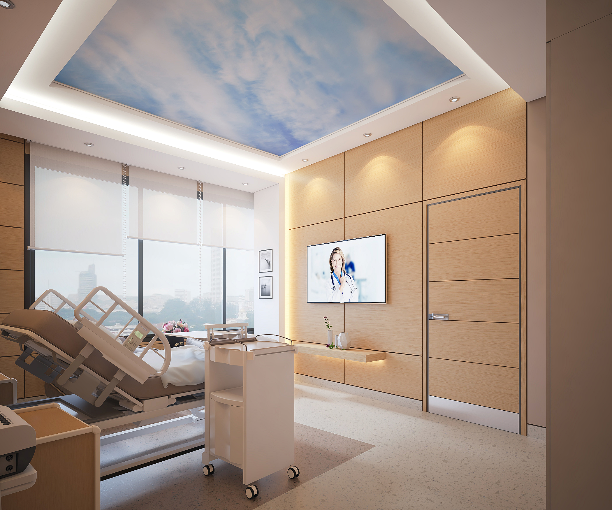 Luxury Hospital Suite Room-2