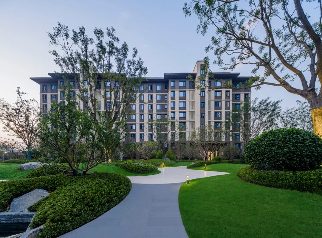 邯郸 · 天正 · 凤鸣九章丨中国河北丨麦田景观-43