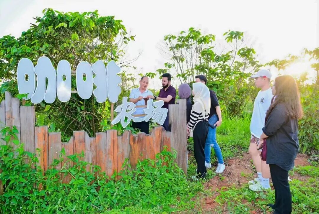 老街焕新重塑海南西线文旅新地标|福山咖啡小镇文旅改造项目-35