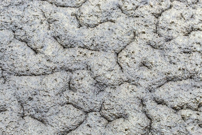 Global Seed农场项目丨Tim Inženjering（诺维萨德工程公司）-30