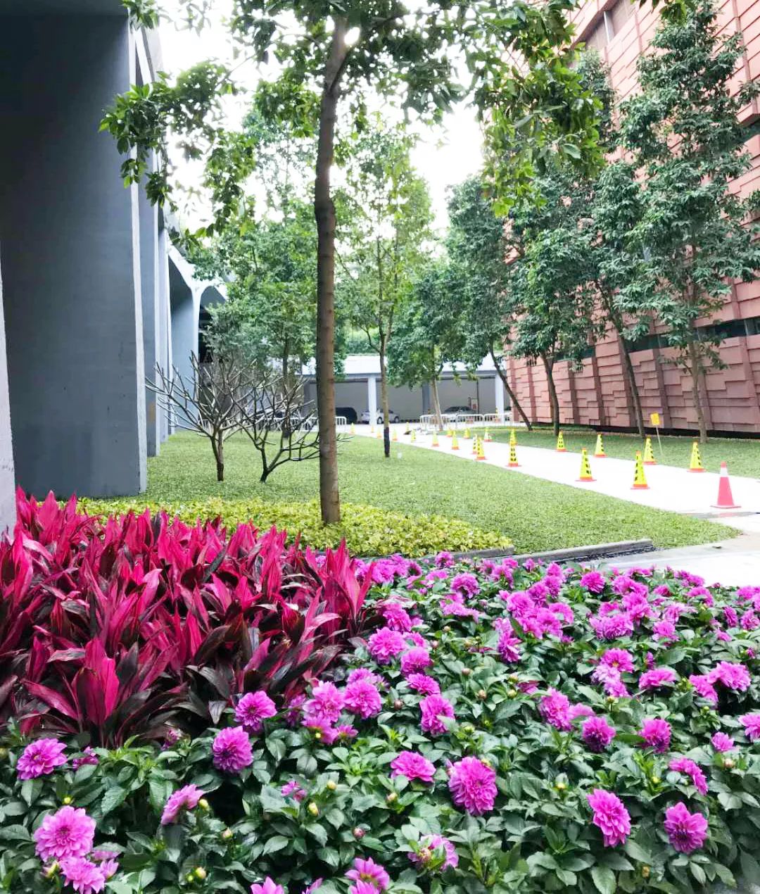 云山雅境,花园会议——广州白云国际会议中心-50