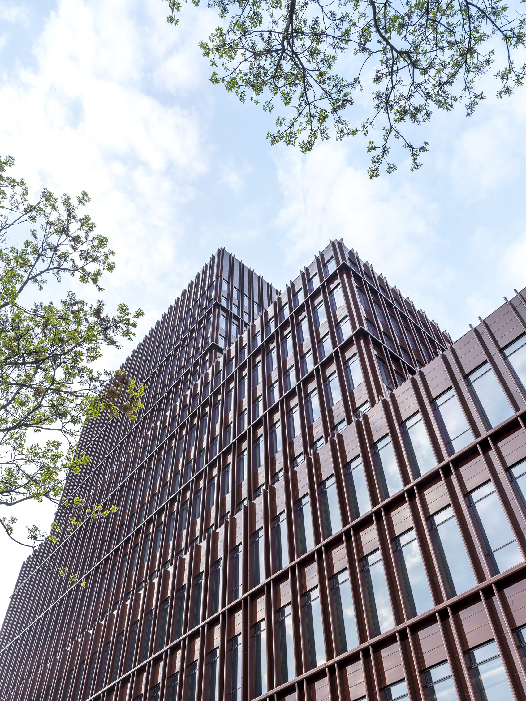 世博滨江·鼎博大厦,上海 / David Chipperfield Architects-25