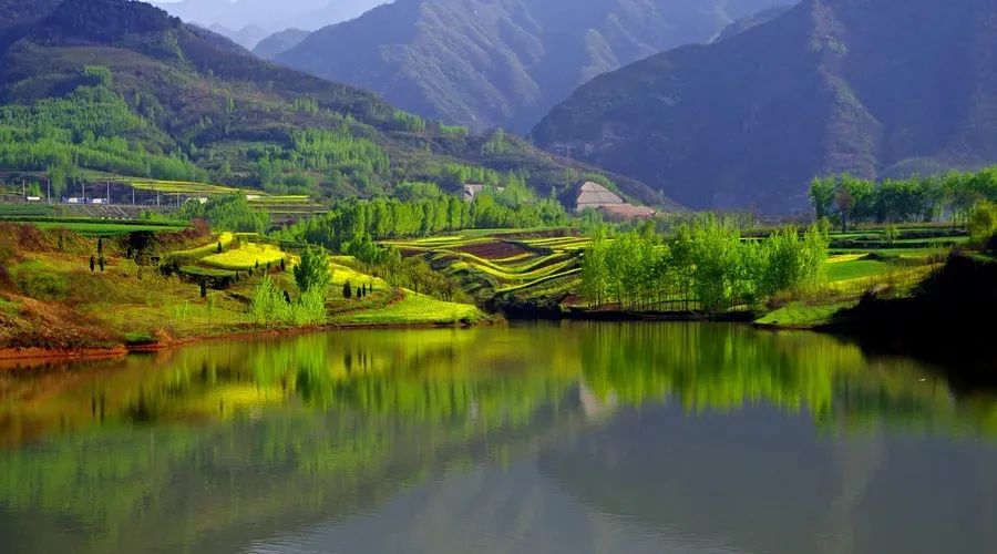 《宁乡流沙河镇乡村振兴规划》荣获省一等奖,产业兴旺与生态宜居并重-53