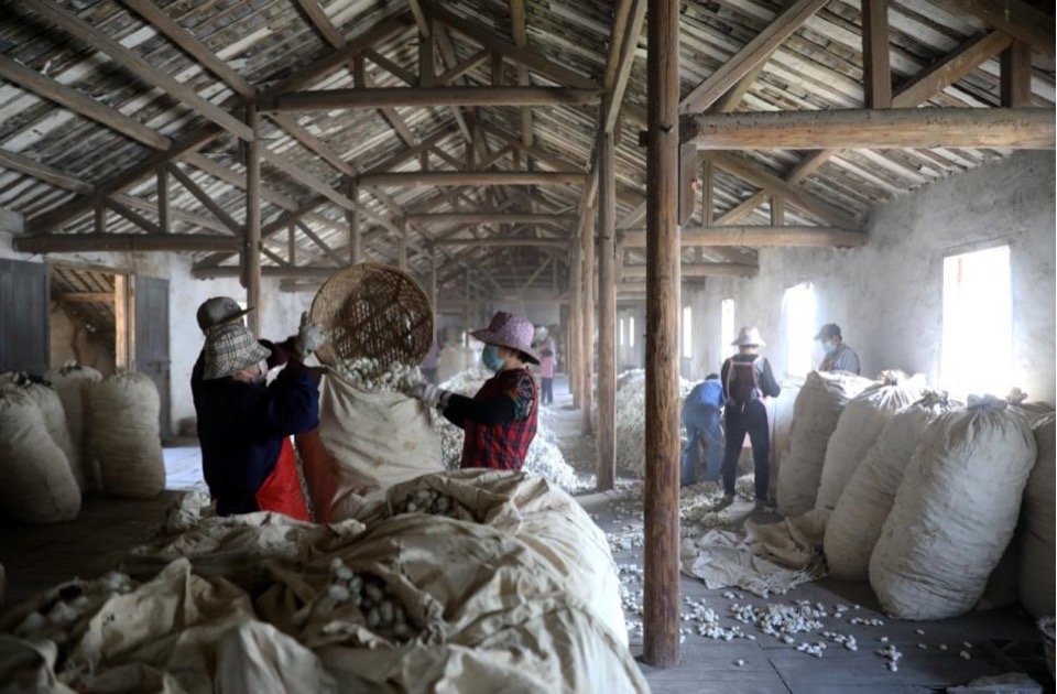茧·酒店:湖州纺织业历史遗存的新生丨中国湖州丨九樟营造事务所-160
