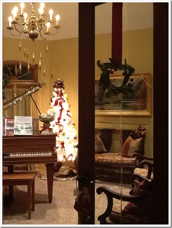 Annette家的圣诞节室内布置丨美国俄亥俄-6