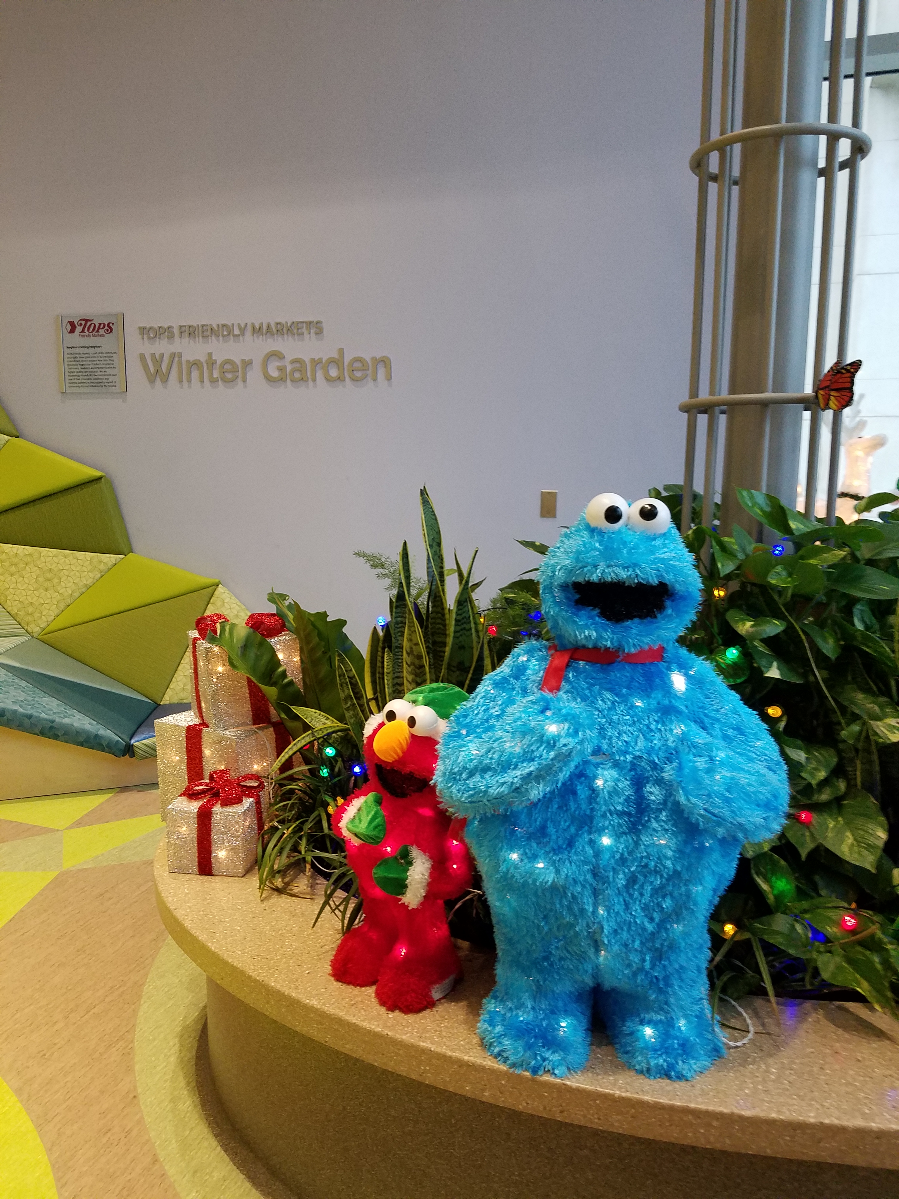 冬季花园丨design synergies architecture pc-12