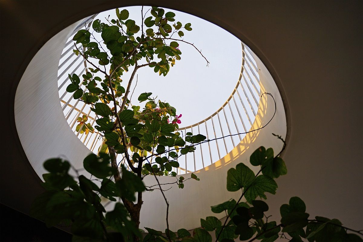 绿意盎然的家庭港湾 · Econs Architecture-42