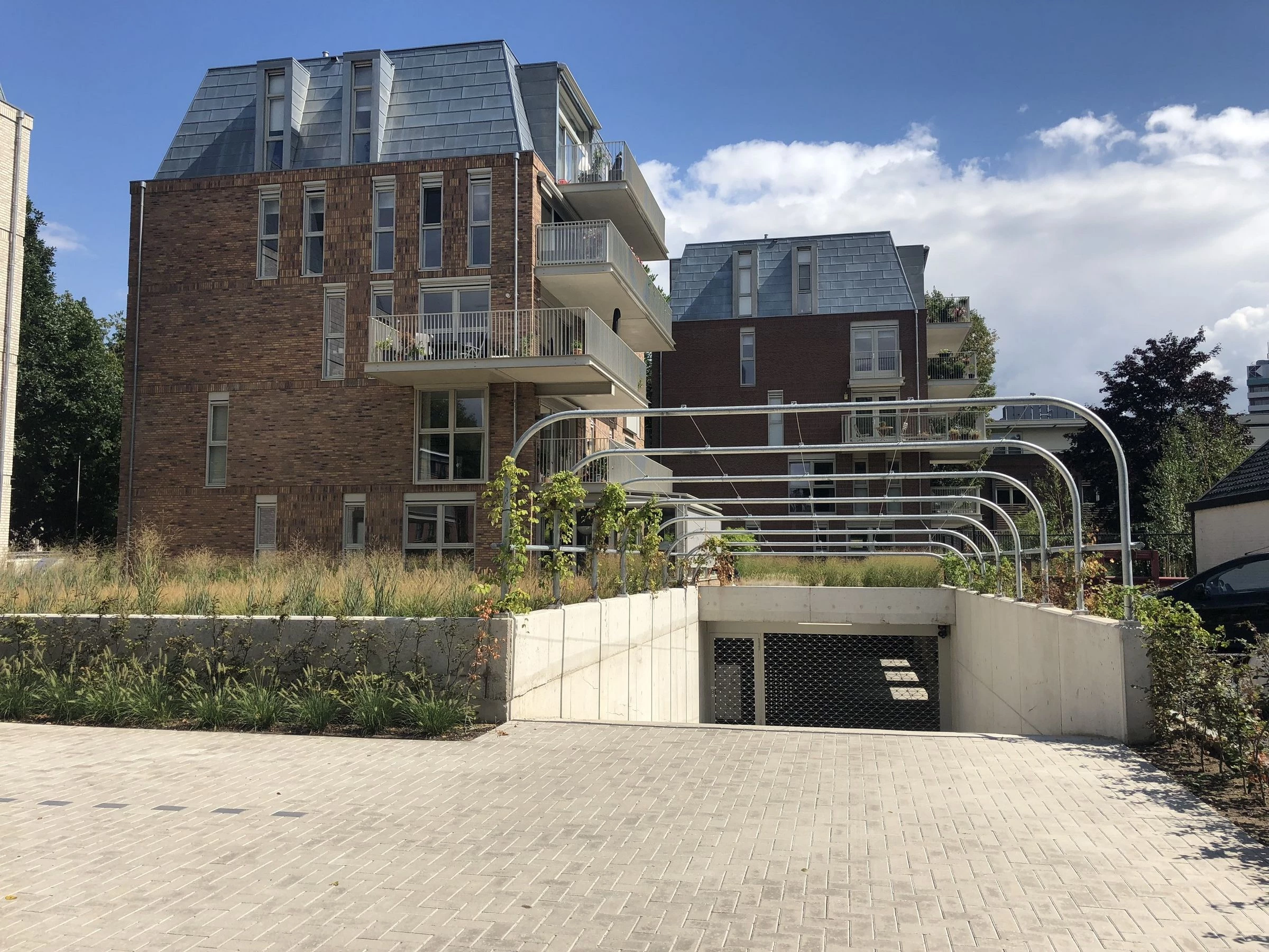 荷兰绿意盎然的三层别墅设计-10