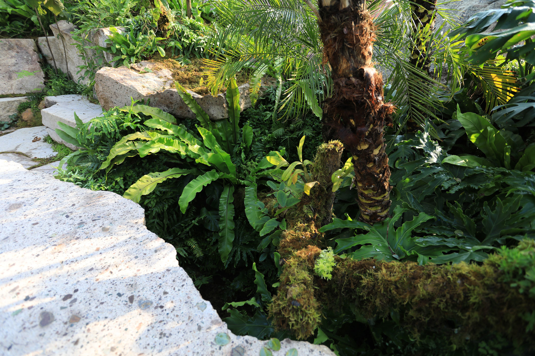 Shenzhen Flower Show - Xanthe White Design-9