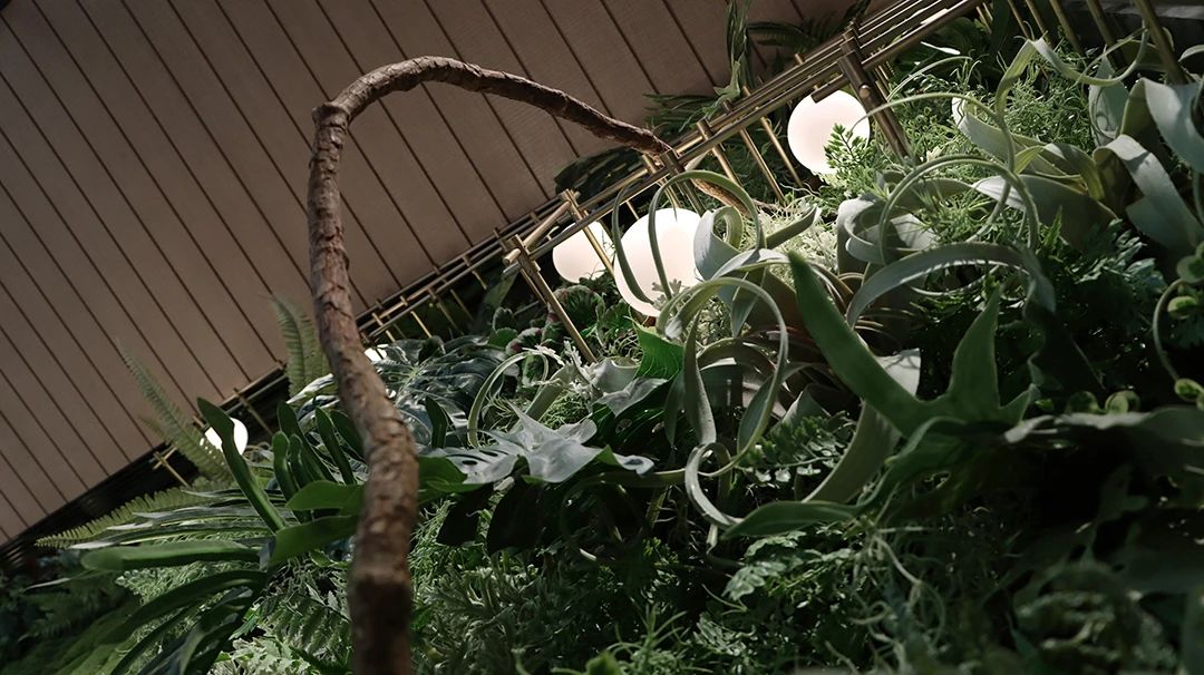 万科公园城市示范区-202