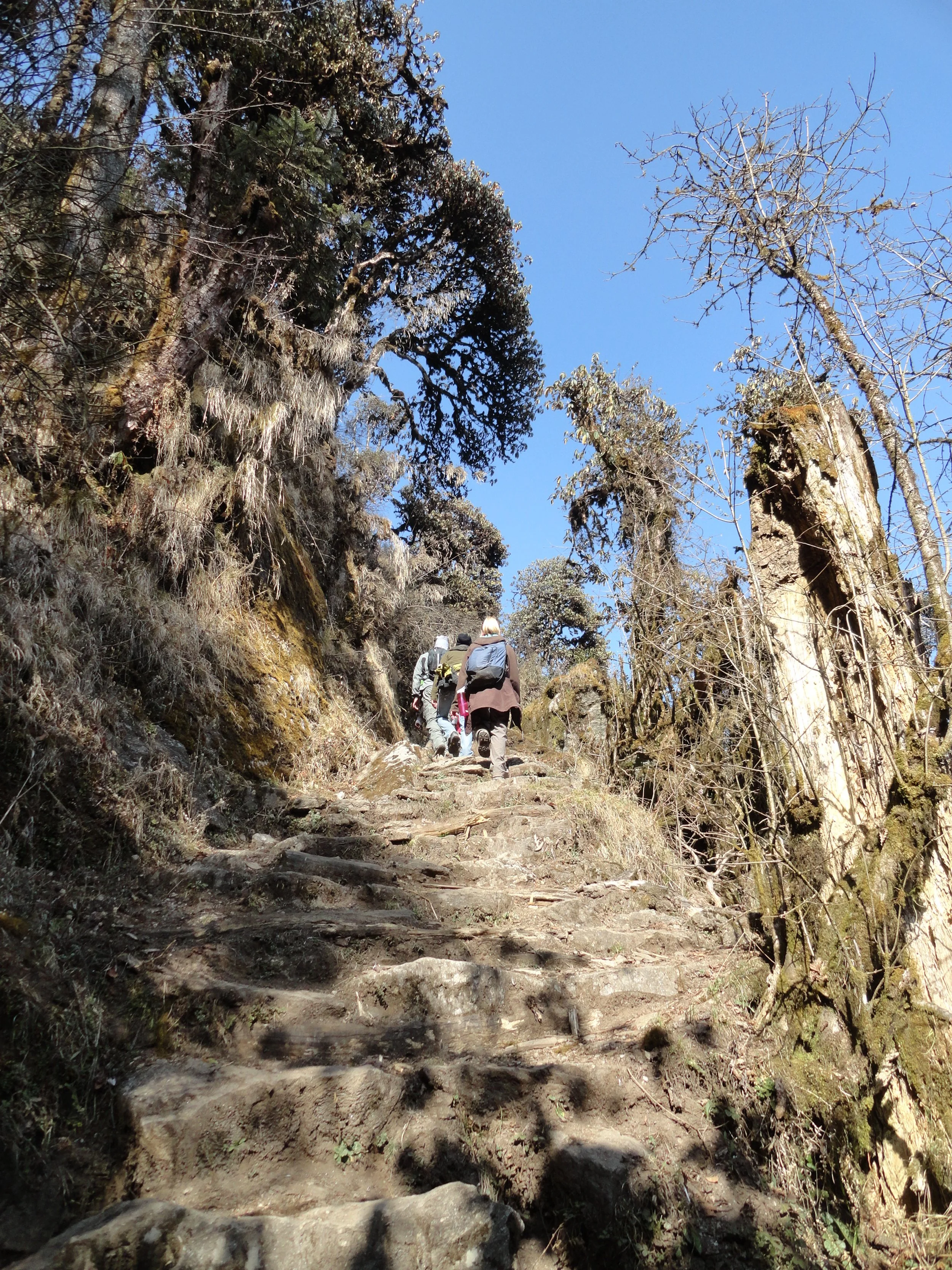 尼泊尔索卢昆布地区小学建设项目-6