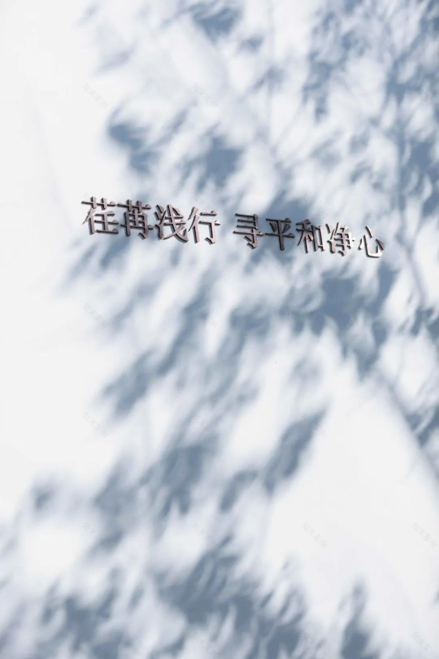 一抹风清与月白 | 金科 · 集美天宸-18