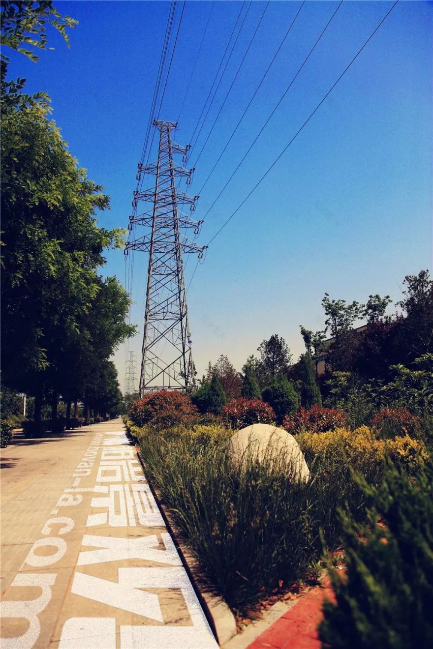 【柏岩·锦绣】经开区道路景观-17