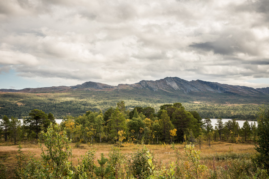 Viewpoint Granasjøen Bergersen Arkitekter AS-24
