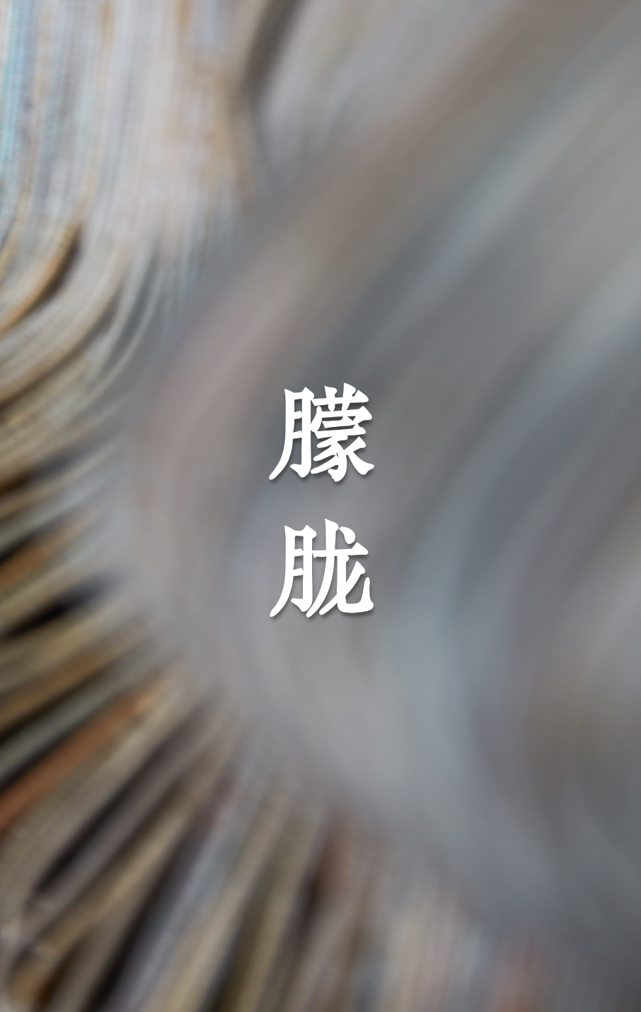 端礼著空间艺术设计丨中国北京丨盘石设计师团队-22