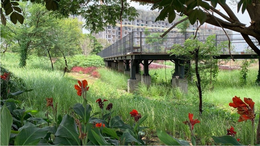 印度Manjari新城镇的总体规划-16