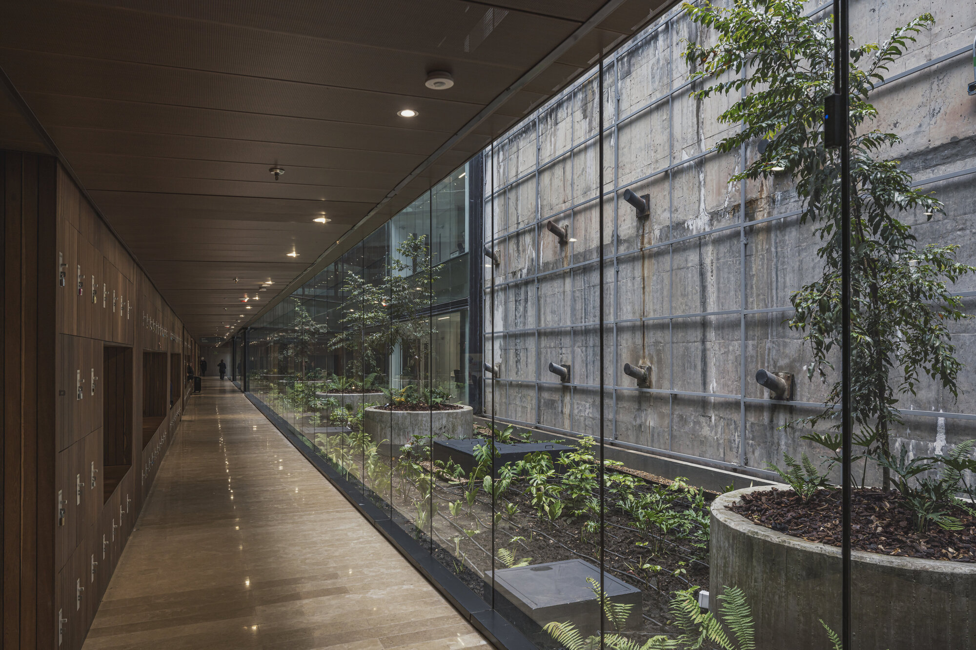 Faculty of Sciences - Pontifical Xavierian University / taller de arquitectura de bogotá-24