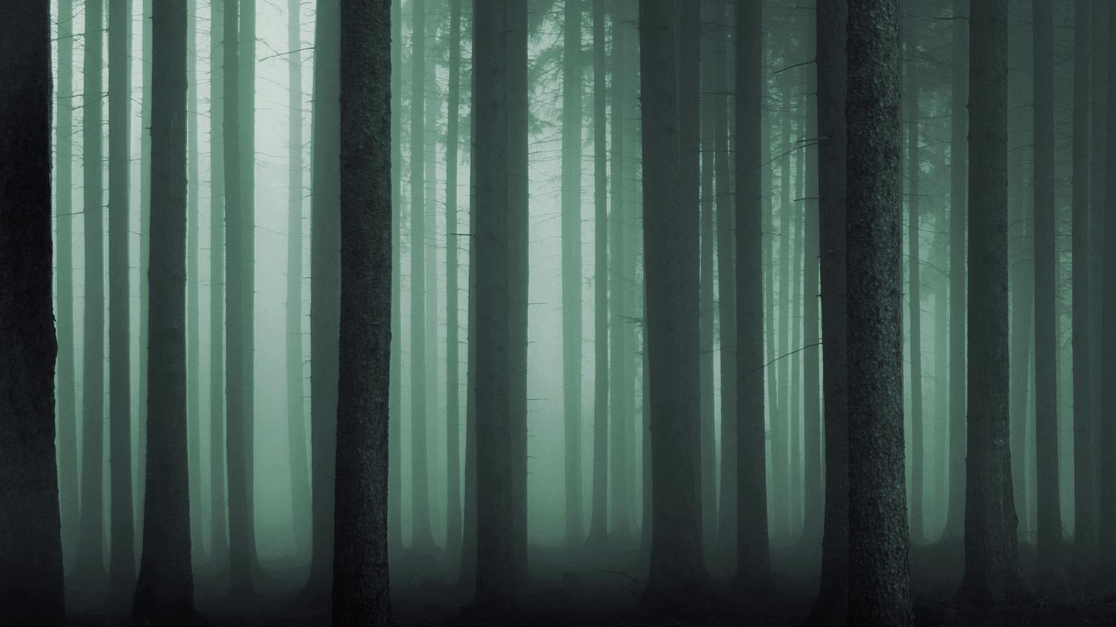 Spedition | Stylt Trampoli AB-10