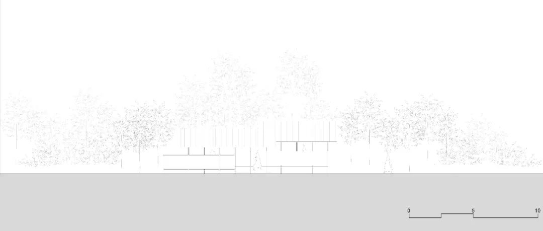 小竹坞丨中国中山丨半松园工作室-52