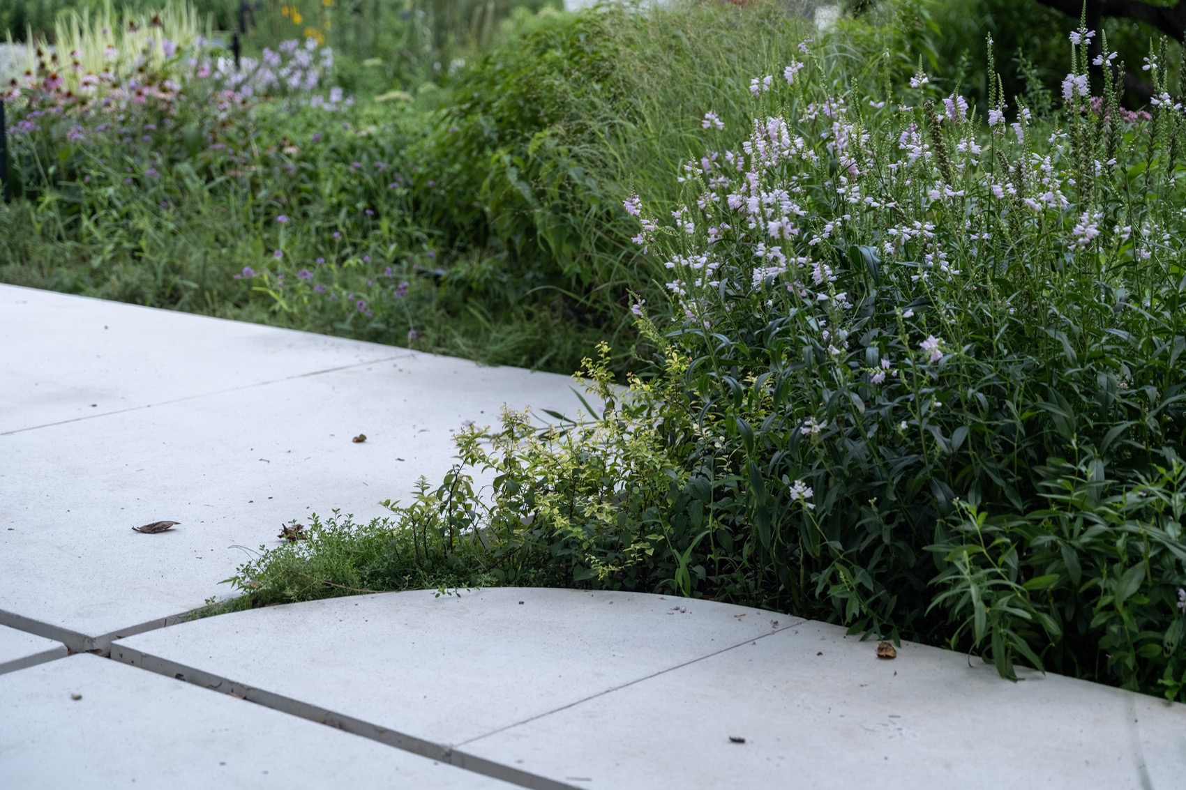 北京市三里屯西五街5号院花园丨中国北京丨OneScape一域景观事务所-251